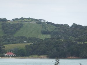 Te Whau vineyard and restaurant on the headland