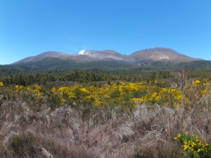 and past Mount Ngauruhoe in the Tongariro National Park
