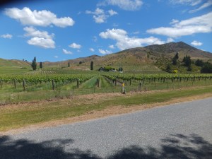 Fenton Road winery in Bannockburn