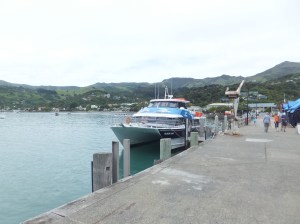 The wharf at Akaroa