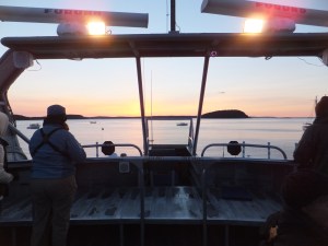 Sailing at dawn on our pelagic bird trip