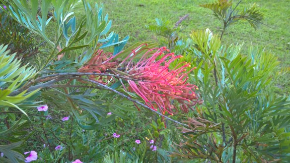 wp_20161116_18_17_16_pro