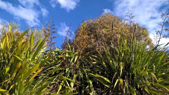 wp_20161126_17_18_23_pro