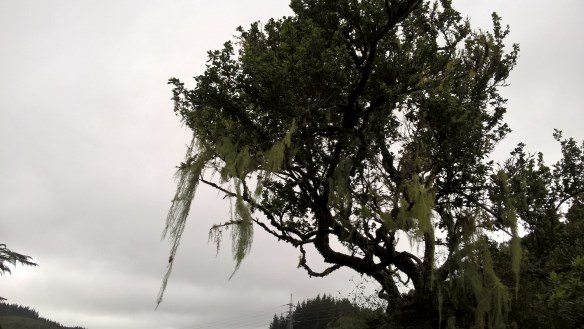 wp_20161129_11_31_39_pro