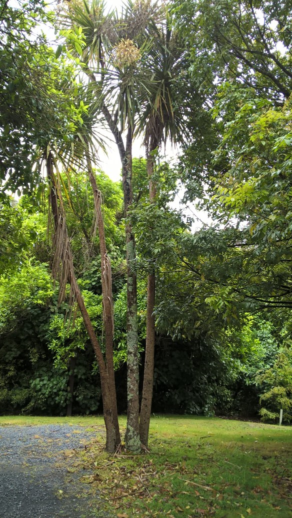 wp_20161130_12_32_05_pro