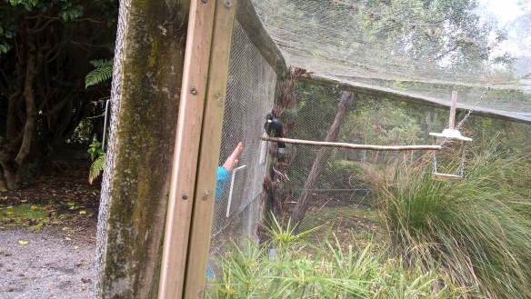 wp_20161130_13_46_49_pro