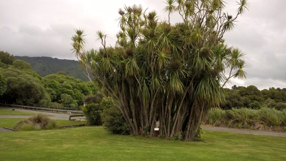 wp_20161130_13_50_49_pro