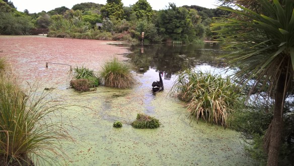 wp_20161130_13_54_01_pro