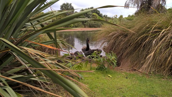 wp_20161130_13_55_47_pro