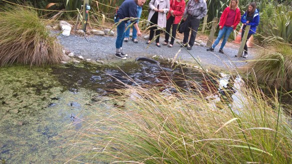 wp_20161130_14_03_24_pro