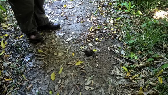 wp_20161201_13_43_23_pro