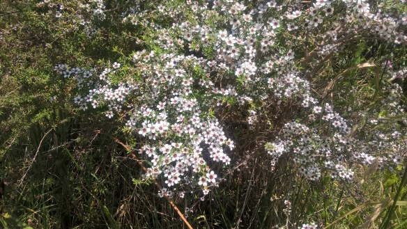 wp_20161203_11_16_40_pro