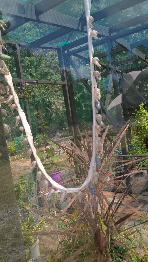 wp_20161203_15_31_48_pro